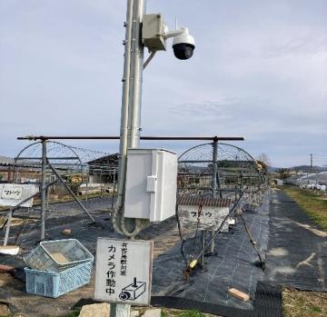 無線通信を活用した農業振興センターICT化事業の様子を撮影した画像（1）