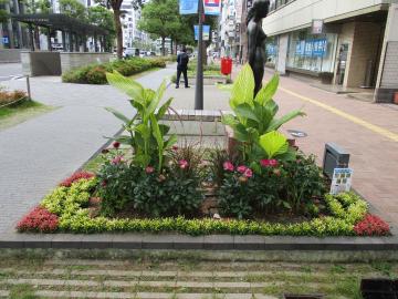 市民花壇の植栽例1