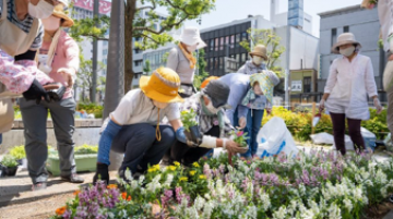 市民花壇の植栽作業の様子