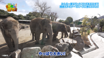 姫路セントラルパークの取り組み紹介動画