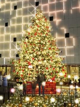 クリスマスツリー