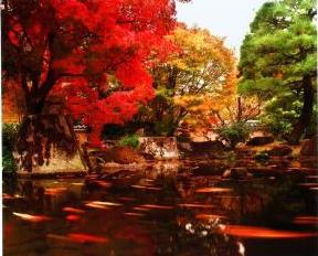 令和6年度姫路市議会議長賞を受賞した画像