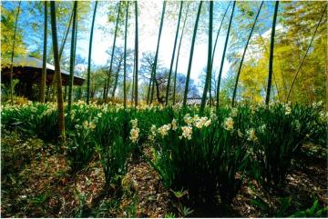 令和6年度市長賞を受賞した画像