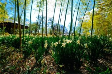 令和6年度姫路市長賞を受賞した画像