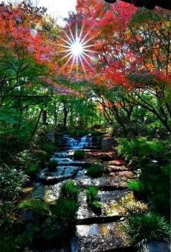 令和7年度姫路市長賞を受賞した画像