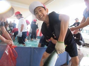 屋内の水槽の前で子ども魚を触っている様子