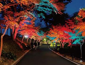 姫路城周辺ナイトツアーのイメージ写真