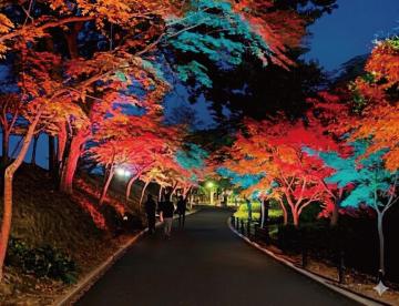 姫路城周辺ナイトツアーのイメージ画像